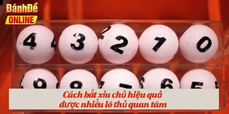 Cách bắt xỉu chủ hiệu quả được nhiều lô thủ quan tâm