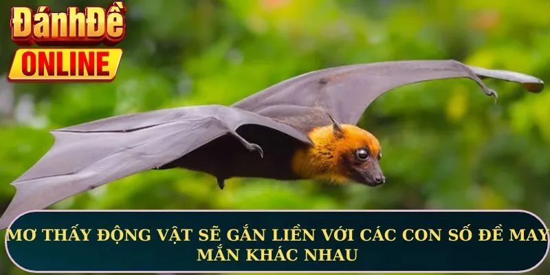 Sổ tay số mơ lô đề: Ý nghĩa giấc mơ và con số đi kèm 2 Mơ thấy động vật sẽ gắn liền với các con số đề may mắn khác nhau